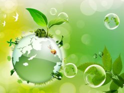 Стартует Республиканский этап  XVI Всероссийского детского экологического форума  «Зеленая планета 2018»