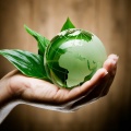 Республиканский этап Международного детского экологического форума «Зеленая планета» 