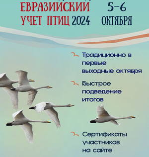 Всероссийская акция «Евразийский учет птиц-2024»