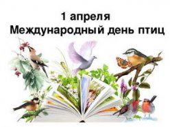 1 апреля отмечается Международный день птиц