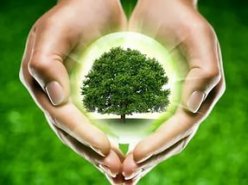 21 марта отмечается Международный день леса