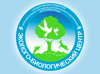 Программа дополнительного образования детей 12-13 лет (6 класс) по экологии «Жизнь леса»