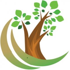 Учащиеся ГБОУ ДО РК «Эколого-биологический центр» приняли участие в акции «Посади свое дерево жизни»