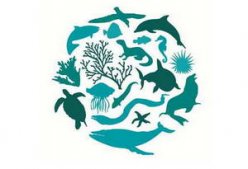 Международный день биологического разнообразия 22 мая 